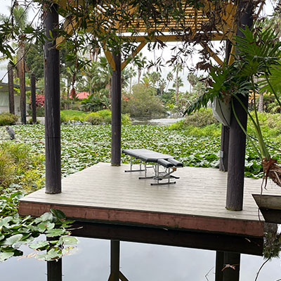 Image of Dr Hamilton performing an mobile chiropractic  adjustment on a patient in their home